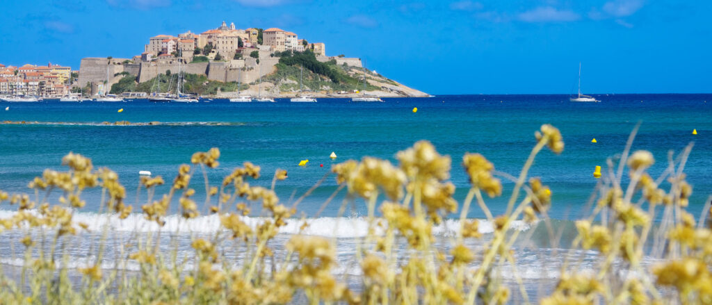 camping bord de mer calvi