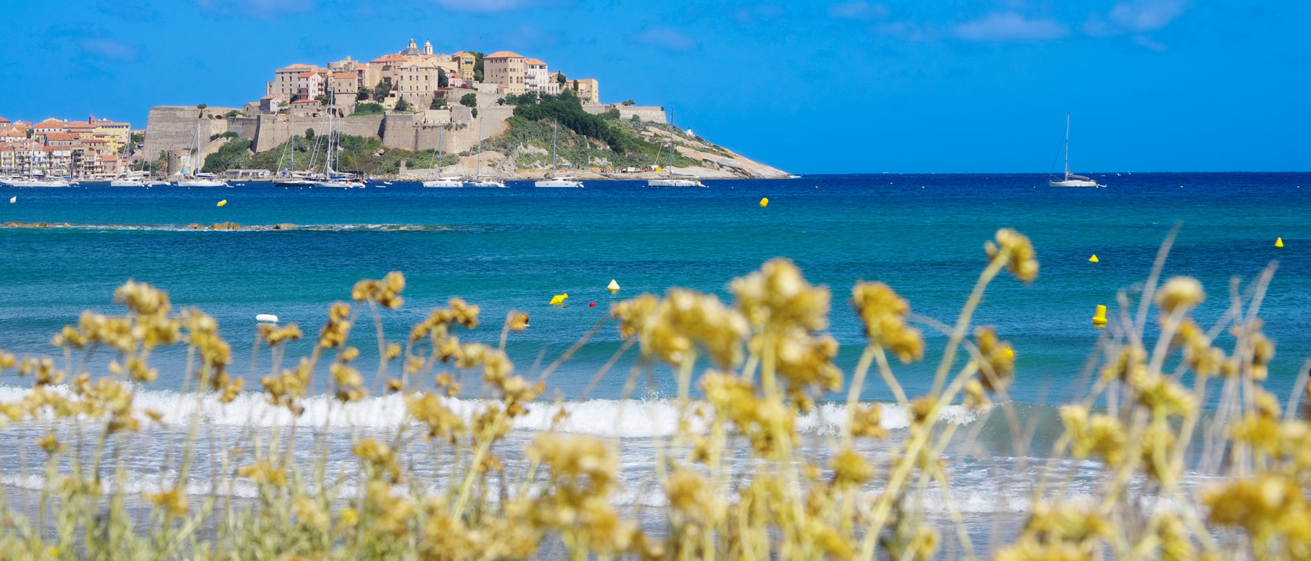 camping bord de mer calvi