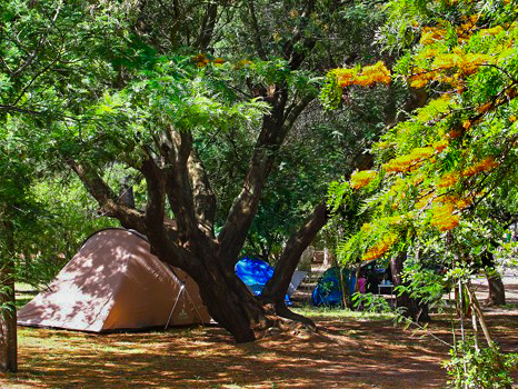 camping location emplacement tente calvi